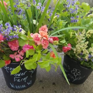 June DIY Flowers